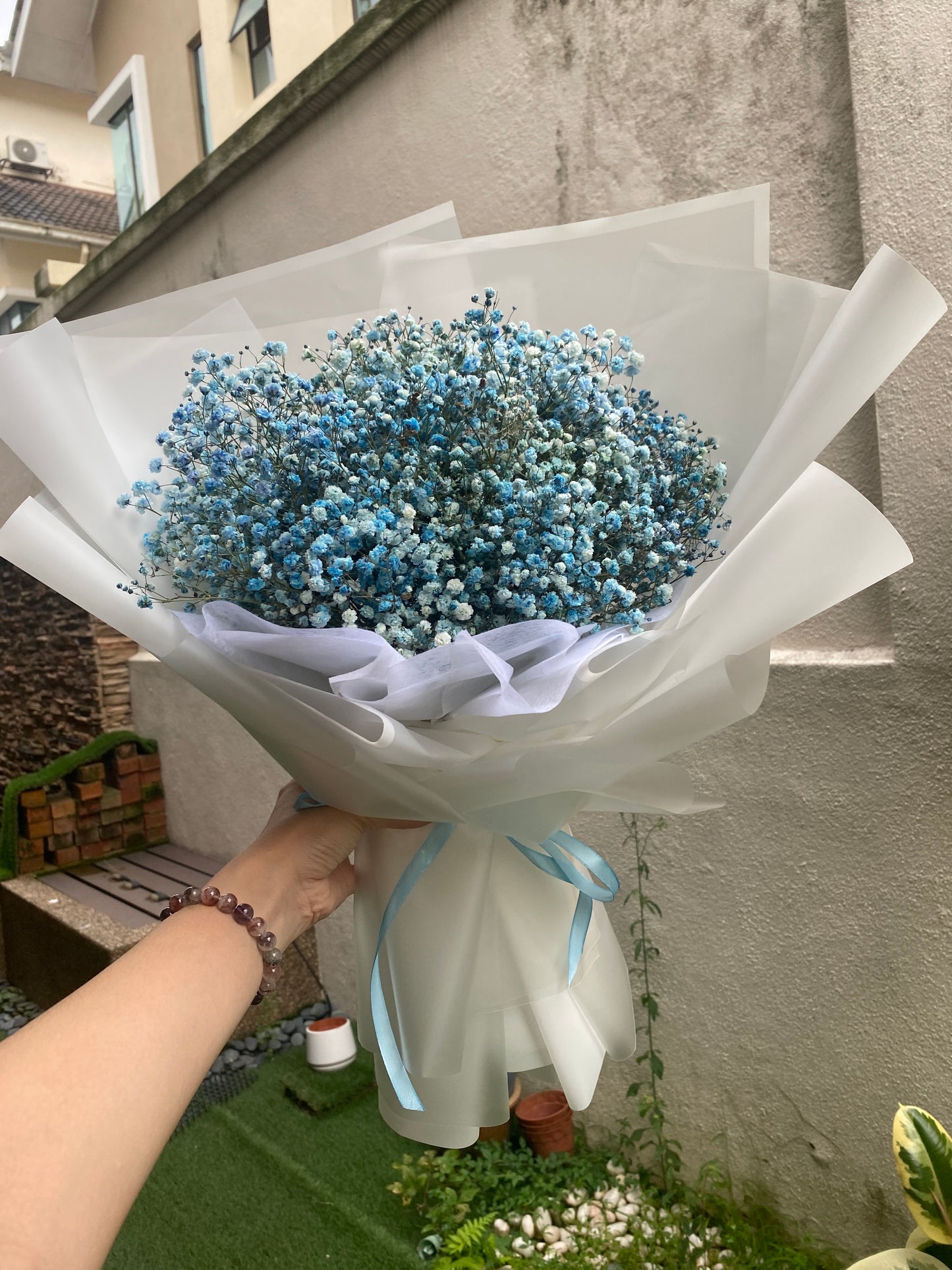 Blue Baby Breath With White Wrapping - M size