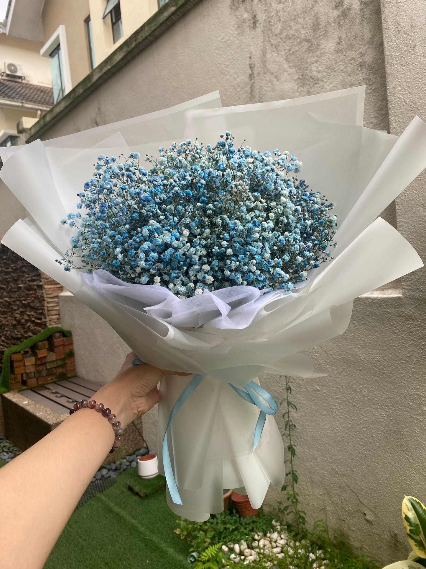 Blue Baby Breath With White Wrapping - M size