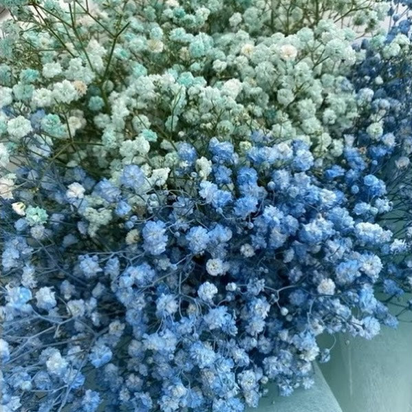 Tiffany Blue + Blue Baby Breath Bouquet